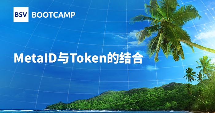 MetaID與Token的結(jié)合｜王宇