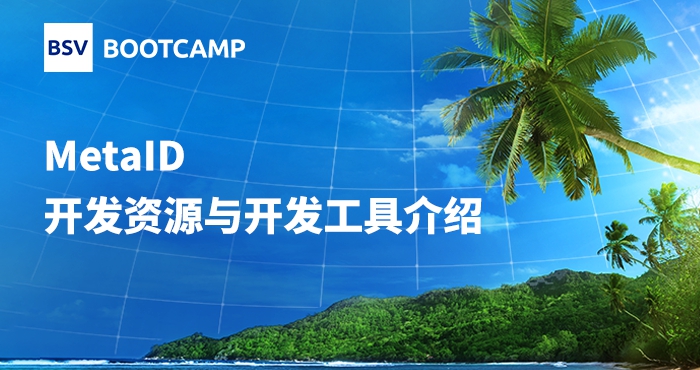 MetaID開發(fā)資源與開發(fā)工具介紹｜馮新宇