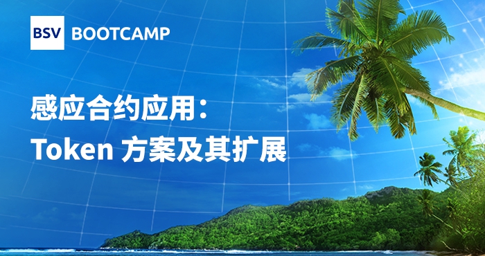 感應(yīng)合約應(yīng)用：Token 方案及其擴(kuò)展｜陳誠