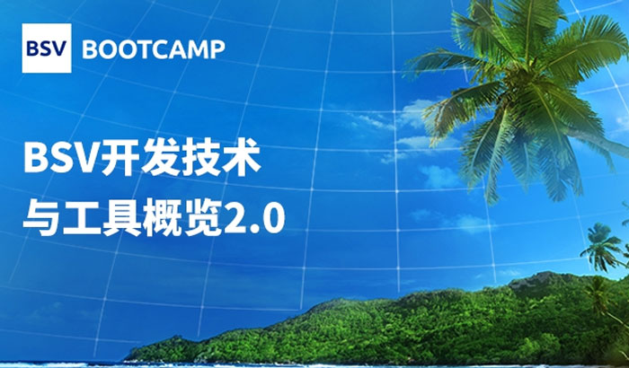BSV開發(fā)技術(shù)與工具概覽2.0｜顧露